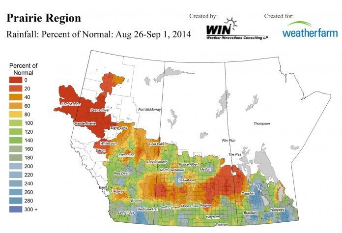 WeatherFarm’s map for percentage of normal rainfall for the period of Aug. 26 to Sept. 1, 2014. For more precipitation, high/low temperature and CHU maps for the Prairies visit WeatherFarm.com.
