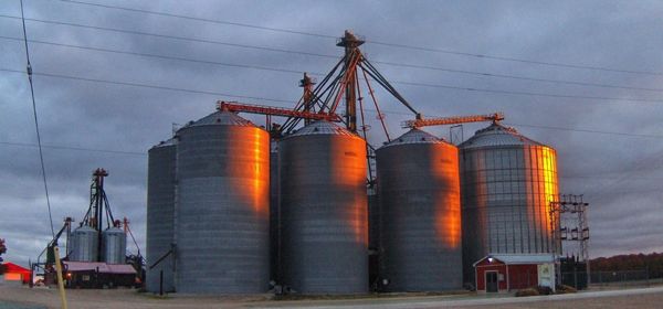 Southwestern Ontario’s Palmerston Grain bills its Minto Township facility as the largest inland grain terminal in the province. (PalmerstonGrain.com)
