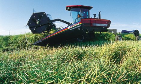 (Canola Council of Canada photo)
