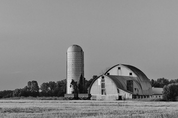 U.S. farmland rents soften with grain prices