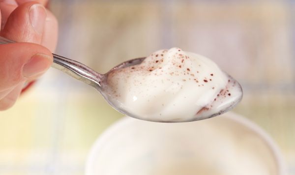 A new technique for “biocontainment” of GMOs may allow the technology to be used to make microbes for uses ranging from producing yogurt to cleaning up toxic waste. (Peggy Greb photo courtesy ARS/USDA)
