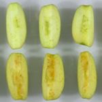 Okanagan Specialty Fruit’s side-by-side comparison of its Arctic Granny apples (top) against regular Granny apples. (ArcticApples.com)
