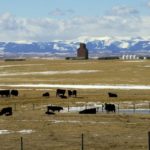 (Photo courtesy Canada Beef Inc.)
