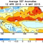 Equatorial sea surface temperatures (SSTs) have run above average for the past four weeks, the U.S. NOAA’s Climate Prediction Center noted Monday. (CPC.ncep.noaa.gov)
