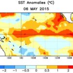 Average sea surface temperature (SST) anomalies (°C) for the week centred May 6. Anomalies are computed with respect to the 1981-2010 base period weekly means. (CPC.ncep.noaa.gov)
