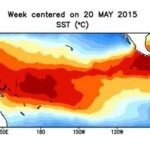Sea surface temperature anomalies over the El Nino region of the Pacific, for the week centred May 20. (CPC.ncep.noaa.gov)