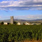 (Scott Bauer photo courtesy ARS/USDA)
