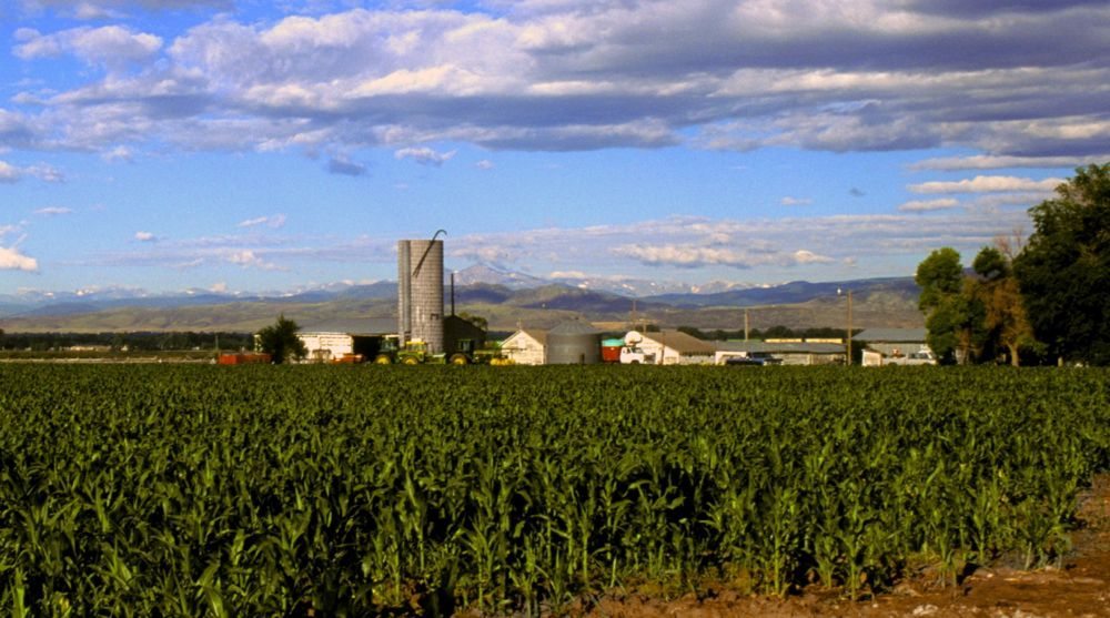 (Scott Bauer photo courtesy ARS/USDA)
