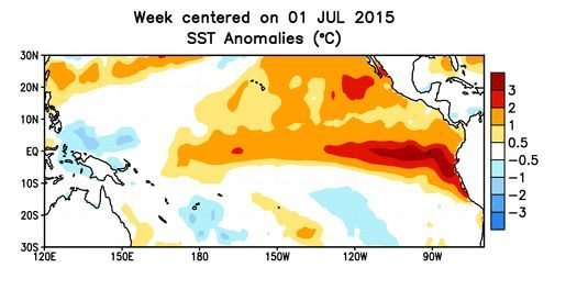 Pacific Ocean sea surface temperature anomalies for week centred on July 1. (CPC.ncep.noaa.gov)
