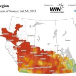 Parched Prairie forages hang in under stress