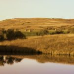 (Photo courtesy Canada Beef Inc.)
