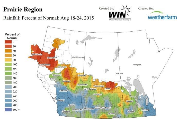 Rain in Sask., Man. stalls harvest, causes crop damage