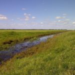 (AssiniboineWatershed.com)
