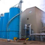 Legumex to sell processing plants, wind down company