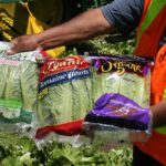 U.S. consumers’ demand for organic foods, such as this California lettuce, has risen steadily in the past decade — particularly in California, which alone accounted for 41 per cent of U.S. organic sales in 2014. (Eric Brennan photo courtesy ARS/USDA)