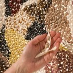 (Peggy Greb photo courtesy ARS/USDA)
