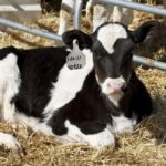 (Peggy Greb photo courtesy ARS/USDA)
