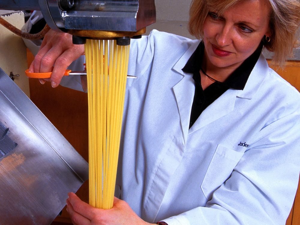 Durum’s higher protein and gluten content make it best suited for pasta processing. (Scott Bauer photo courtesy ARS/USDA)

