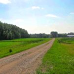 Grain farm for sale at Churchbridge, Sask. (LaneRealtyCorp.com)
