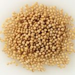 Yellow mustard. (Photo courtesy Saskatchewan Mustard Development Commission)