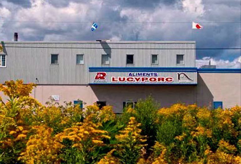 (Lucyporc.com)
