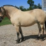 (Sunrise-Therapeutic.ca)
