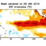 Pacific Ocean sea surface temperature (SST) anomalies for the week centred on Jan. 6. (CPC.ncep.noaa.gov)
