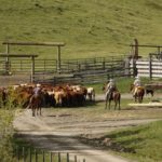 (Photo courtesy Canada Beef Inc.)
