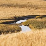 (Photo courtesy Canada Beef Inc.)
