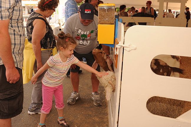 (NBFairs.ca)
