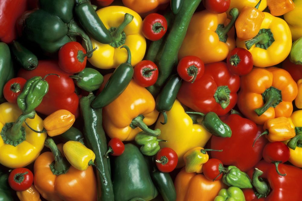 (Scott Bauer photo courtesy ARS/USDA)
