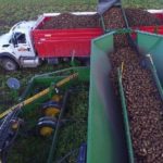 (AlbertaPotatoes.ca)
