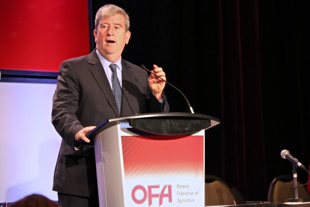 Ontario Environment Minister Glen Murray spoke about his understanding of agriculture at the recent OFA annual meeting. (John Greig photo)
