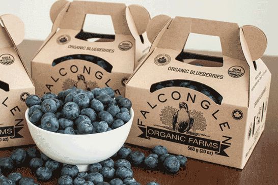 Organic B.C. blueberries. (Falconglen.ca)
