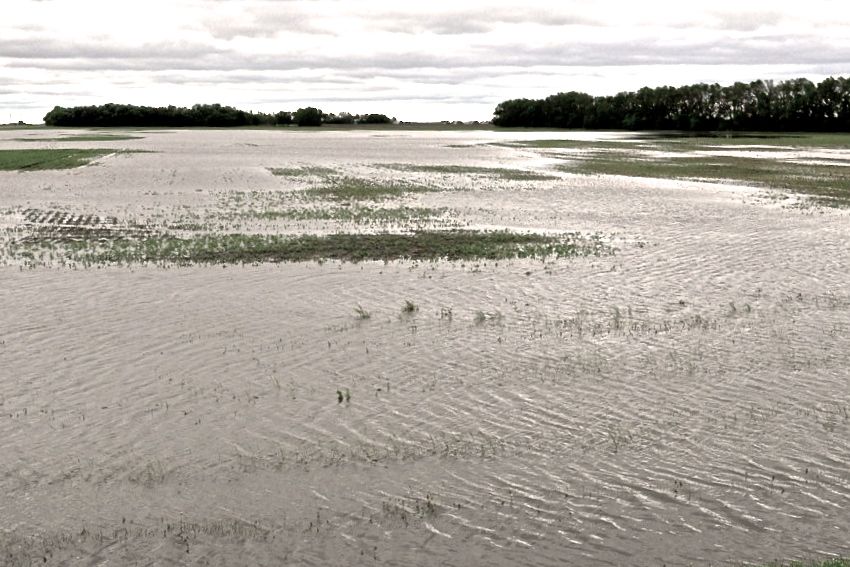 (Manitoba Co-operator file photo)
