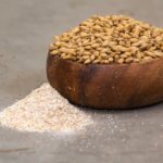 A two-row Bentley base malt. (RedShedMalting.ca)
