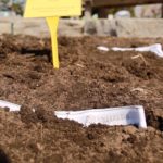 Believe it or not, this is a soil test in progress and it can tell you a lot about the health of your soil.  Photo: Staff

