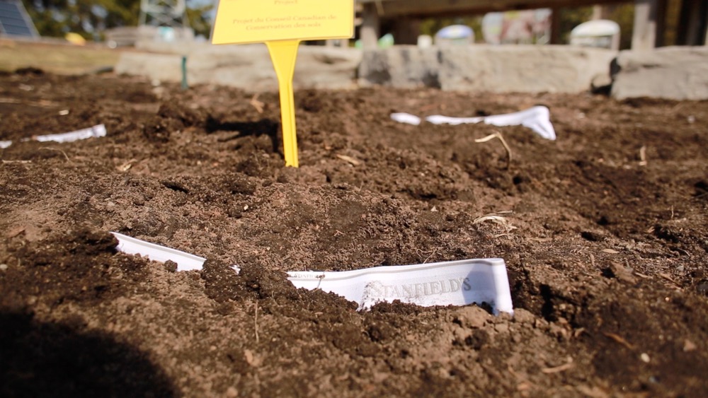 Believe it or not, this is a soil test in progress and it can tell you a lot about the health of your soil.  Photo: Staff
