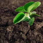 (Agriculture.basf.com)
