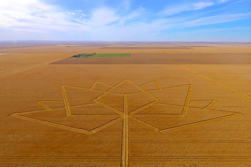 The Canada 150 emblem in a durum field. (Agr.gc.ca)
