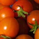 (Peggy Greb photo courtesy ARS/USDA)
