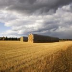 (Photo courtesy Canada Beef Inc.)