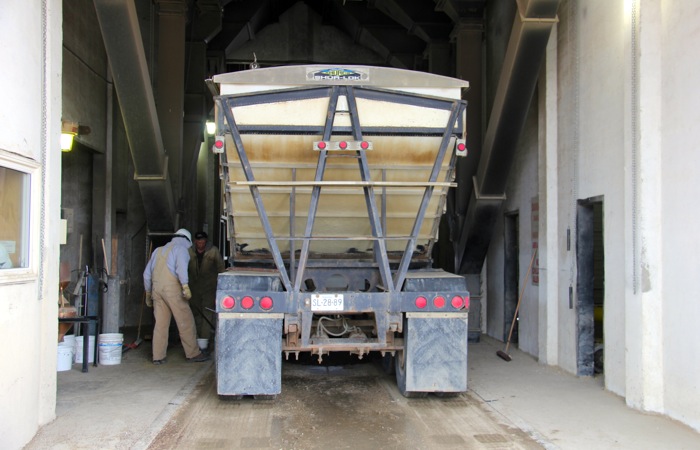 More producers are turing their attention online to help market their grain.  Photo: File/Lorraine Stevenson
