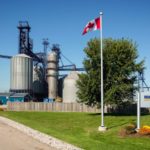 Richardson’s port terminal at Hamilton handles Ontario soybeans, corn and wheat. (Richardson.ca)
