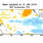 Pacific Ocean sea surface temperature anomalies in degrees Celsius for the week centred on Jan. 31. (CPC.ncep.noaa.gov)

