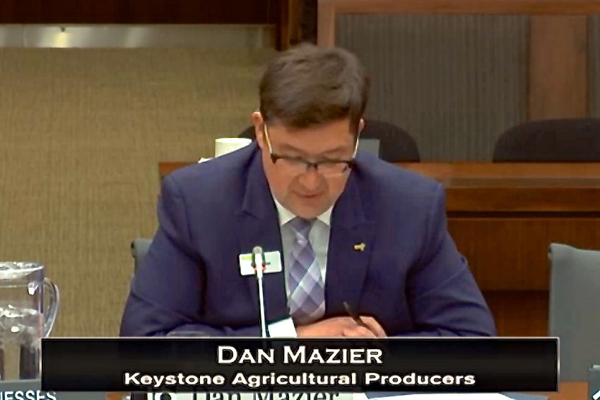 Pass Bill C-49 before Parliament breaks in June: That was KAP president Dan Mazier’s message to the Commons agriculture committee March 19 in Ottawa. (ParlVU screen shot)

