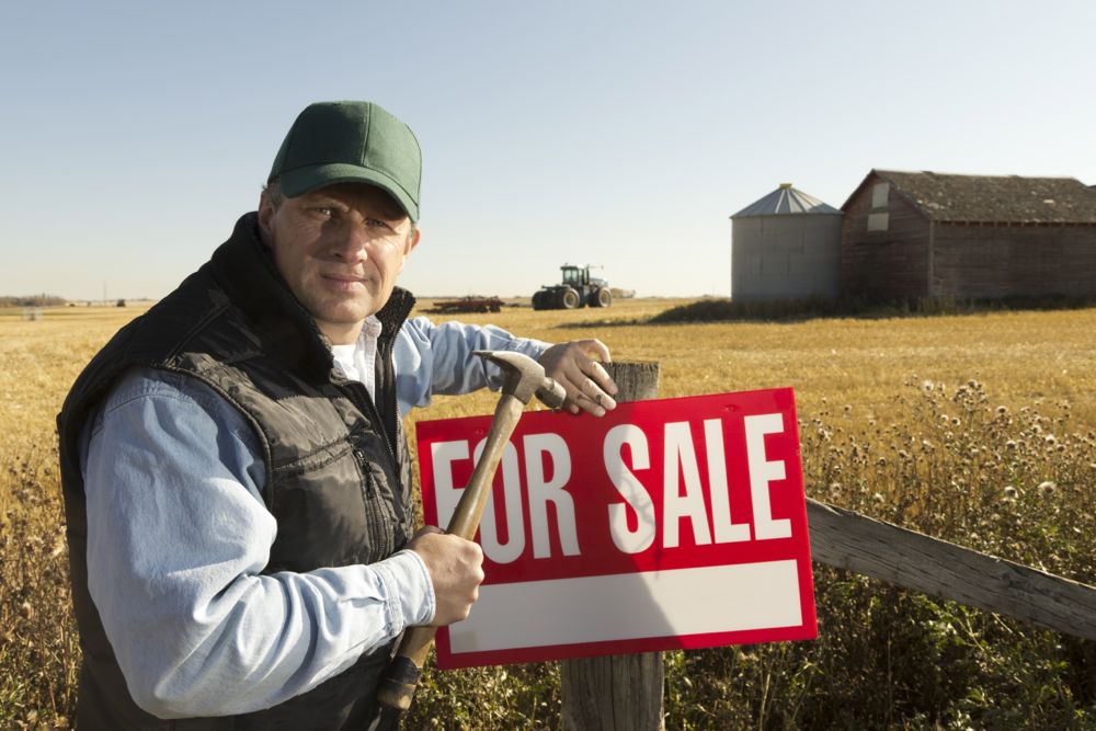 (Shotbydave/iStock/Getty Images)
