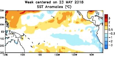Sea surface temperature anomalies for the week centred on July 4, 2018. (CPC.ncep.noaa.gov)

