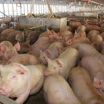 (Darcy Maulsby/iStock/Getty Images)
