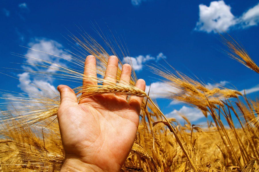 Photo: Thinkstock

